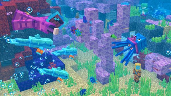 Aquatic Adventure