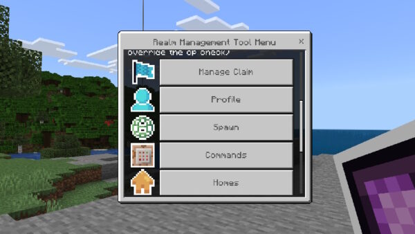 Realm Management Tool - Việt hóa