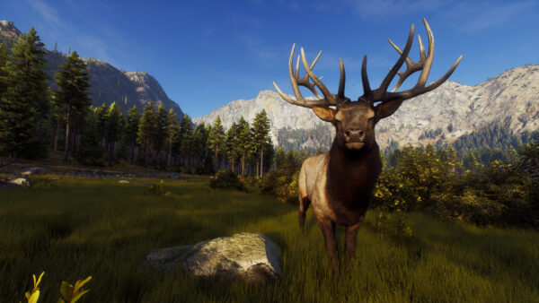 Way of the Hunter Wild America