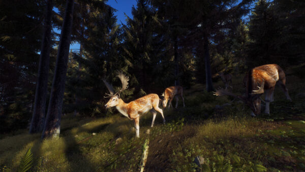 Way of the Hunter Wild America
