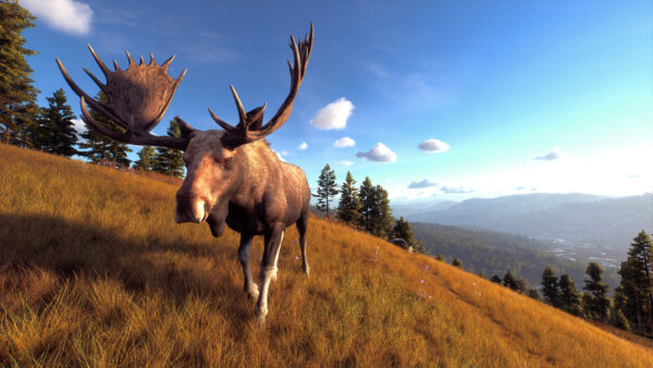 Way of the Hunter Wild America