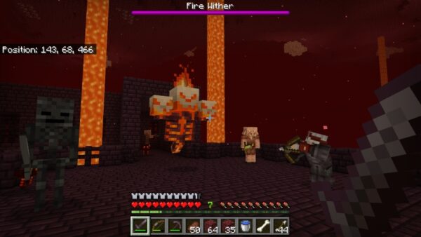 Wither Plus Add-on - Việt hóa