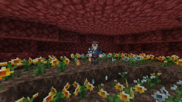 More Crops Add-On - Việt hóa