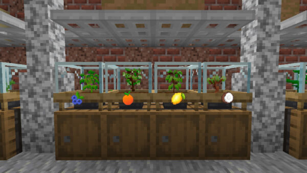 Auto Farming Add-On - Việt hóa